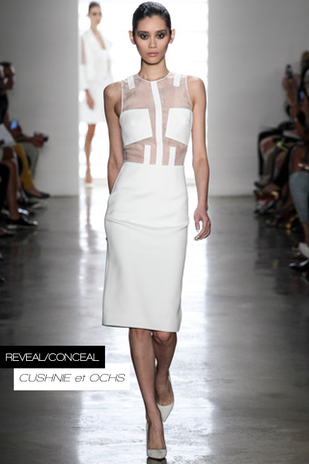 revealconceal-cush-1