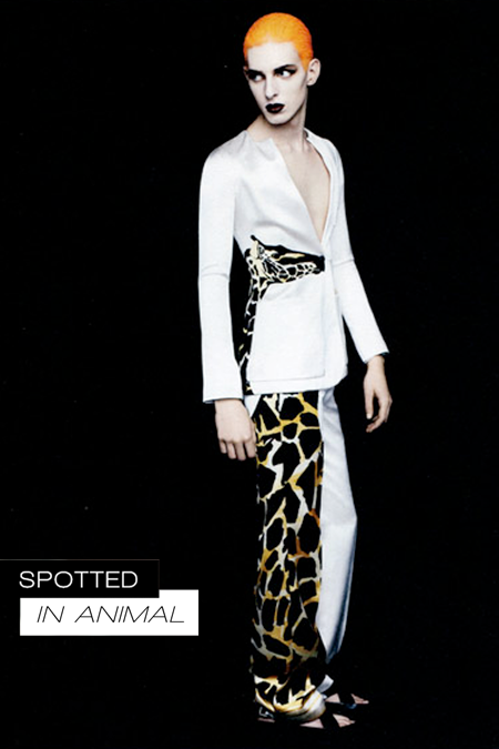 PATTERNITY_ANIMAL_GIRAFFEPANTS